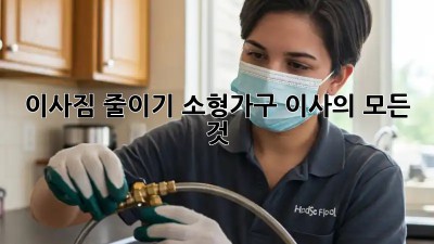 이사짐 줄이기: 소형가구 이사의 모든 것